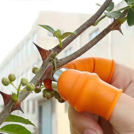 Silicone Vegetable And Fruits Thumb Cutter