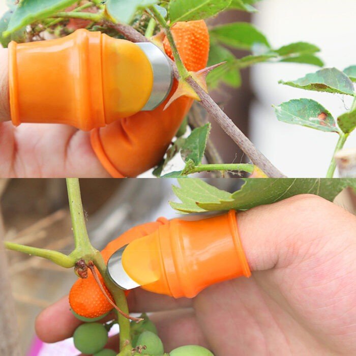 Silicone Vegetable And Fruits Thumb Cutter - Image 2