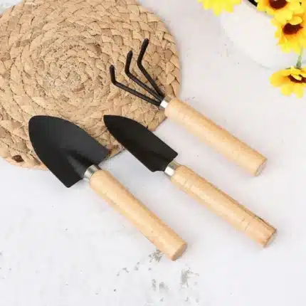 3 Pcs Wooden Handle Iron Head Plant Tool Set Garden Tools