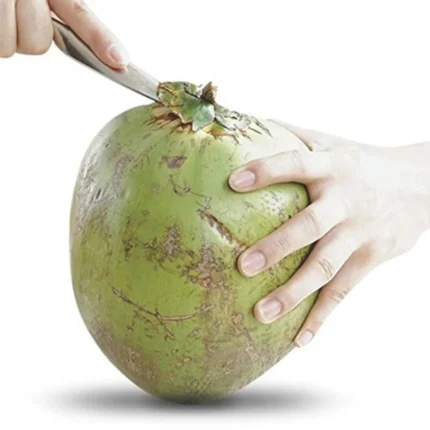 Coconut Opener For Fresh Green Coconut Water Open Tools Cut Gift Fruit Openers Kitchen Tools - Image 3