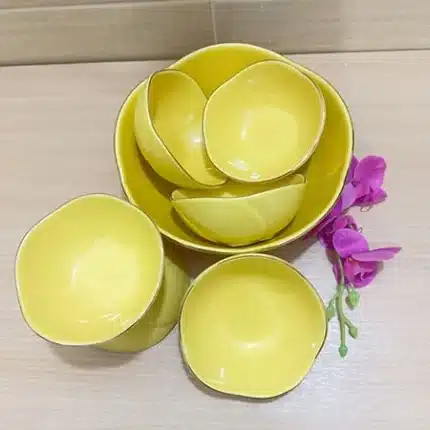 soup bowl set