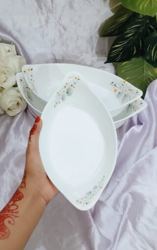 Opal glass full bowl Set